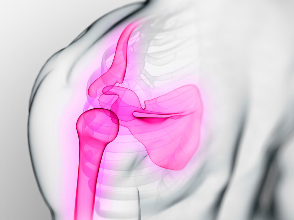 epaule-au-top-inscription Epaule au top du sportif